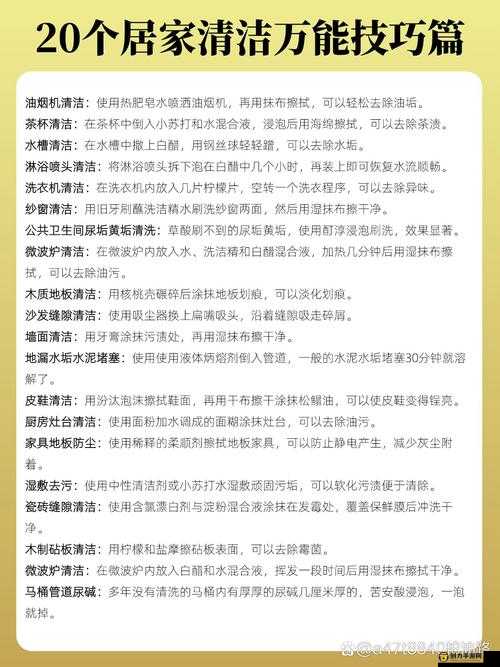 厨房到卧室的清洁小妙招：让家居环境时刻整洁如新的实用技巧