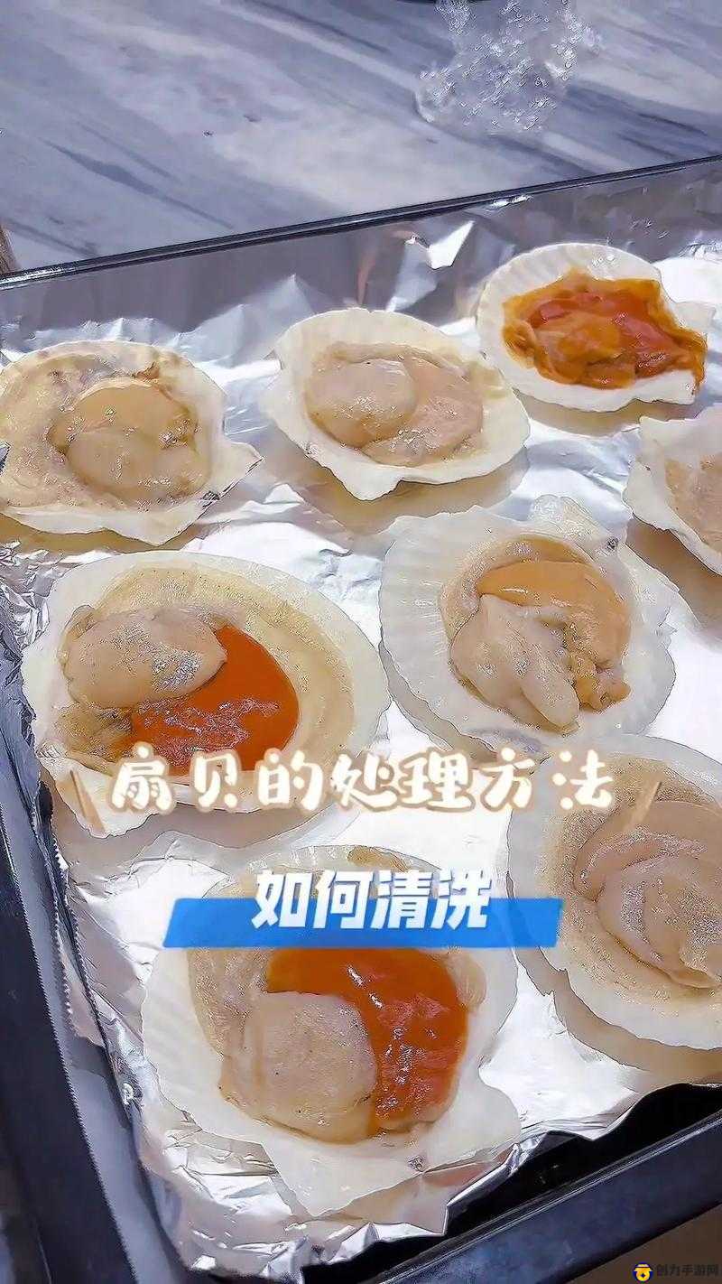 如何在扇贝中打开简约且高级的火腿肠界面